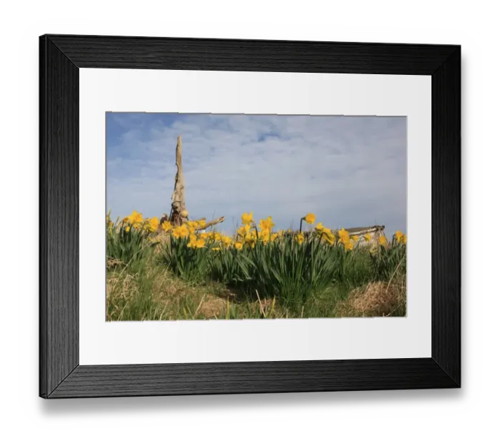 Framed Print : Holy Island Framed Print : Holy Island