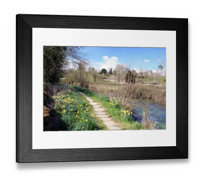 Framed Print : Eastleach. A spring day in the cotswold village of Eastleach famous for its daffodils Framed Print : Eastleach. A spring day in the cotswold village of Eastleach famous for its daffodils