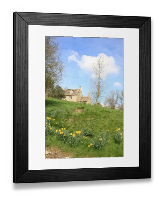 Framed Print : Eastleach. A spring day in the cotswold village of Eastleach famous for its daffodils Framed Print : Eastleach. A spring day in the cotswold village of Eastleach famous for its daffodils