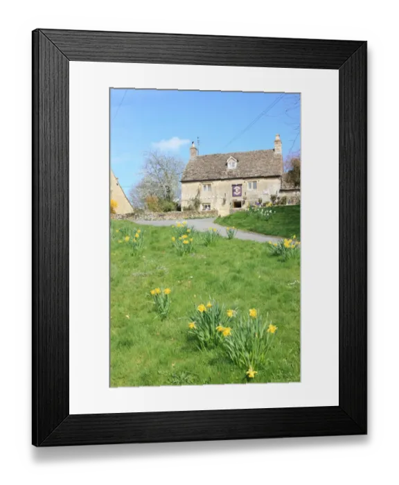 Framed Print : Eastleach. A spring day in the cotswold village of Eastleach famous for its daffodils Framed Print : Eastleach. A spring day in the cotswold village of Eastleach famous for its daffodils