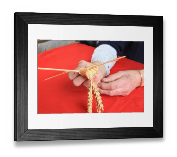 Framed Print : Corn Dollies