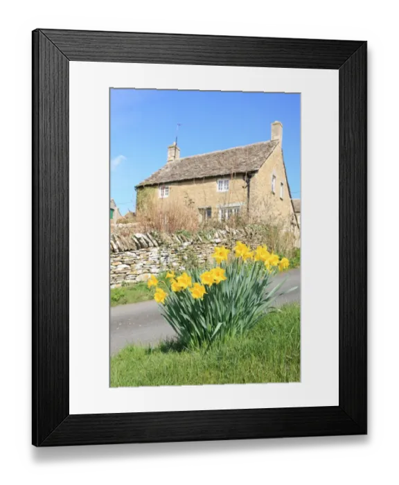 Framed Print : Eastleach. A spring day in the cotswold village of Eastleach famous for its daffodils Framed Print : Eastleach. A spring day in the cotswold village of Eastleach famous for its daffodils
