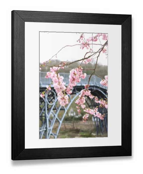 Framed Print : Ironbridge Framed Print : Ironbridge