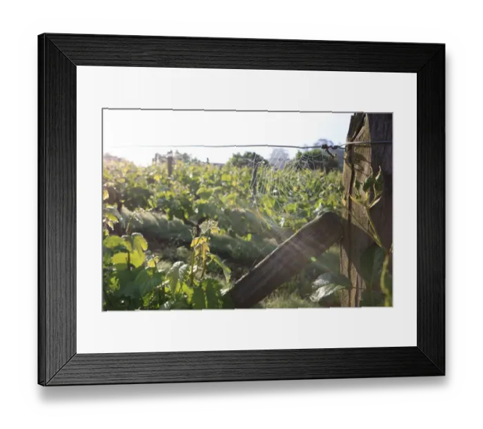 Framed Print : La Chartre France