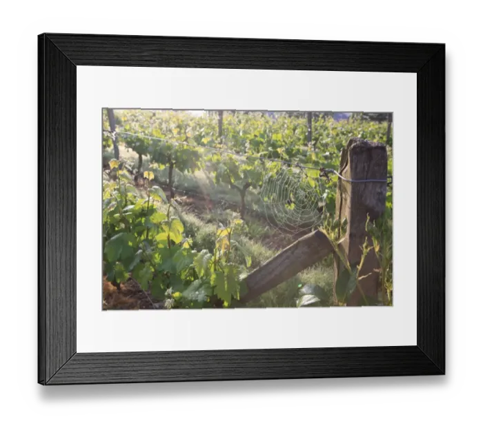 Framed Print : La Chartre France