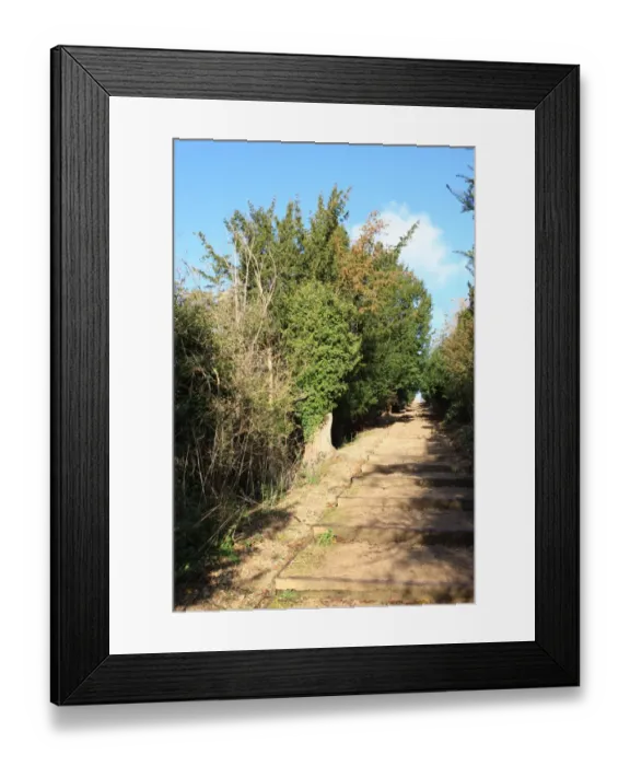 Framed Print : Cliveden Bucks Framed Print : Cliveden Bucks