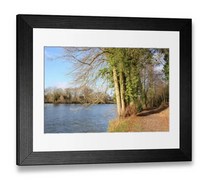 Framed Print : Cliveden Bucks Framed Print : Cliveden Bucks