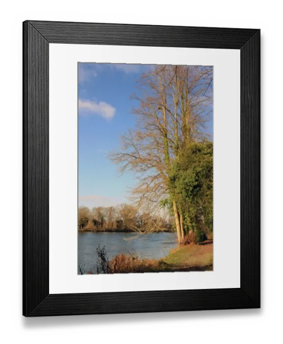 Framed Print : Cliveden Bucks Framed Print : Cliveden Bucks