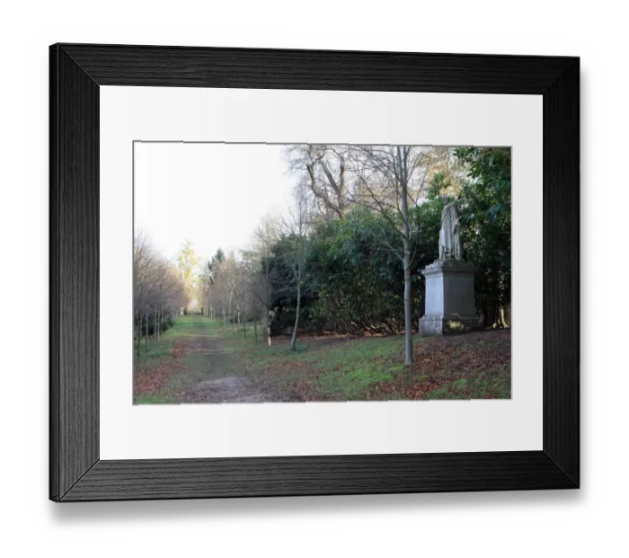Framed Print : Cliveden Bucks Framed Print : Cliveden Bucks