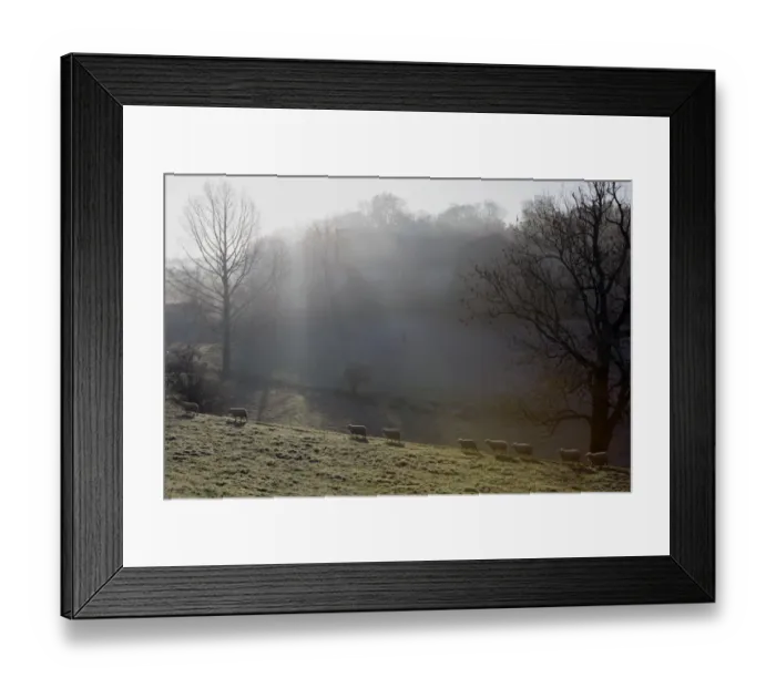 Framed Print : Winter light Framed Print : Winter light