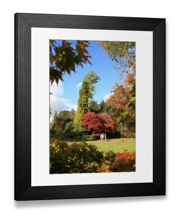 Framed Print : Westonbirt Framed Print : Westonbirt