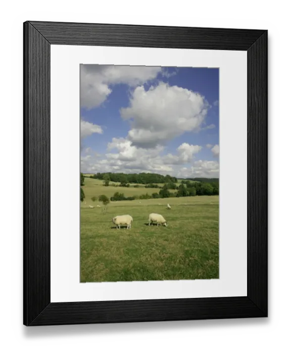 Framed Print : Farmington Framed Print : Farmington