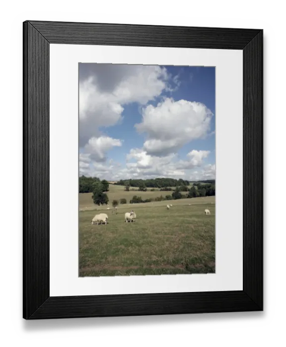 Framed Print : Farmington Framed Print : Farmington