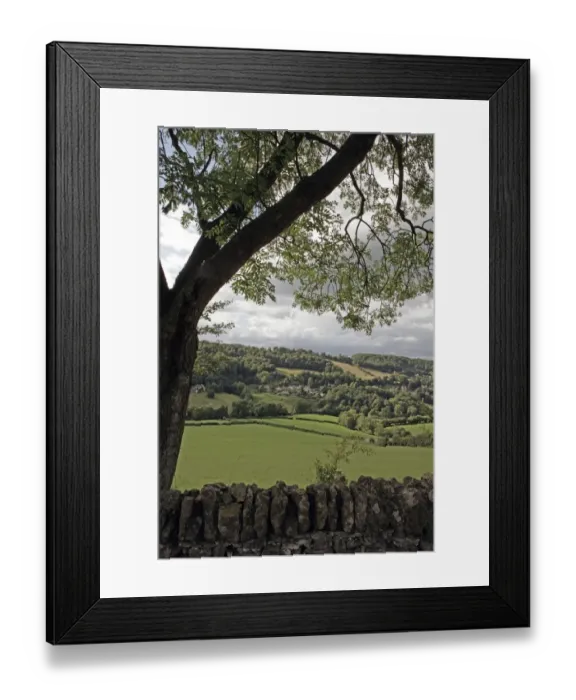 Framed Print : Slad. A valley near the cotswold village of Slad on a summers day Framed Print : Slad. A valley near the cotswold village of Slad on a summers day