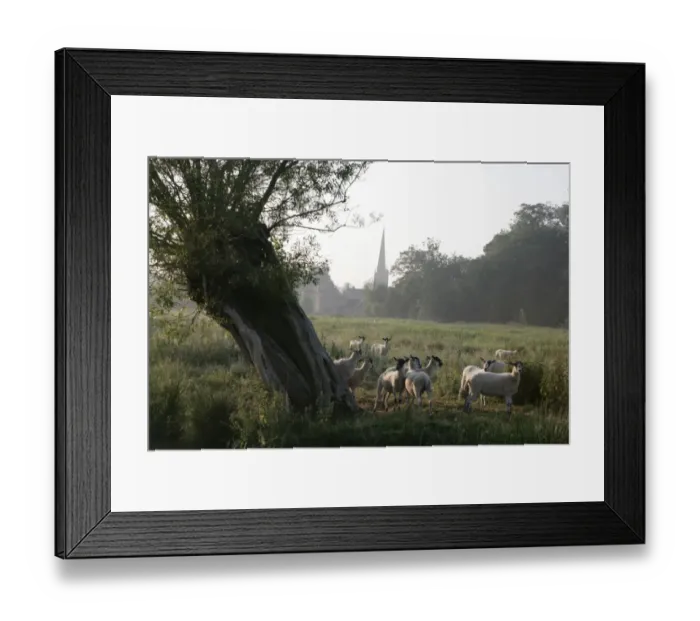 Framed Print : The Cotswolds Framed Print : The Cotswolds