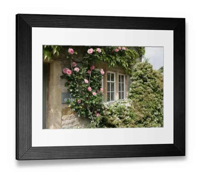 Framed Print : Oddington. Roses around the door of a cotswold cottage in the village of Framed Print : Oddington. Roses around the door of a cotswold cottage in the village of