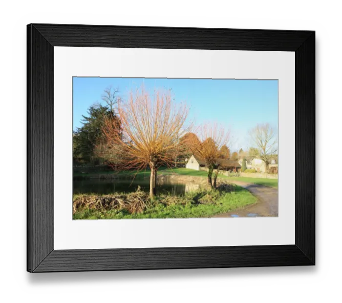 Framed Print : Westwell. The Oxfordshire hamlet of Westwell near the cotswold town of Framed Print : Westwell. The Oxfordshire hamlet of Westwell near the cotswold town of