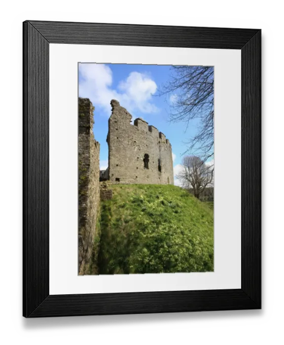 Framed Print : Restormel castle