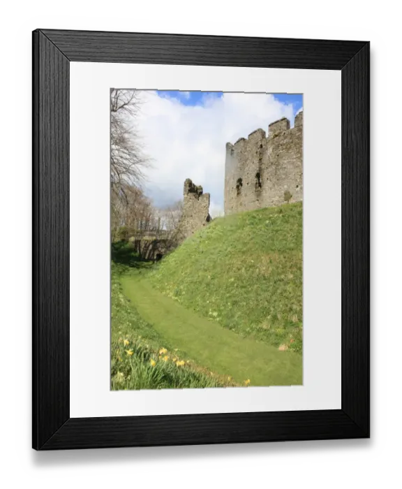 Framed Print : Restormel castle Framed Print : Restormel castle