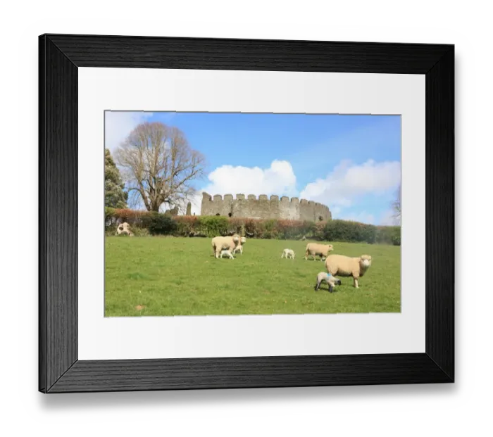 Framed Print : Restormel castle Framed Print : Restormel castle