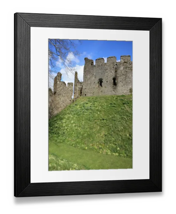 Framed Print : Restormel castle Framed Print : Restormel castle