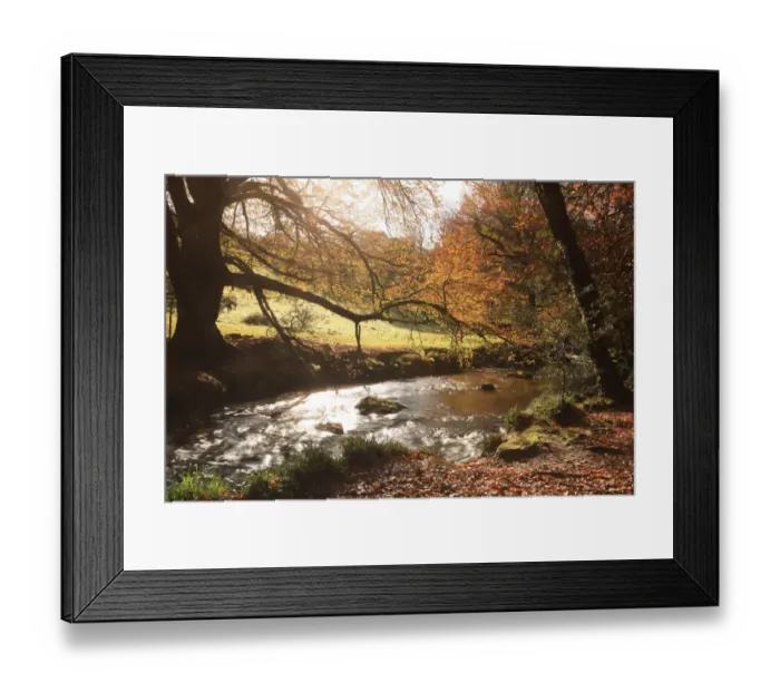Framed Print : Golitha Falls Framed Print : Golitha Falls