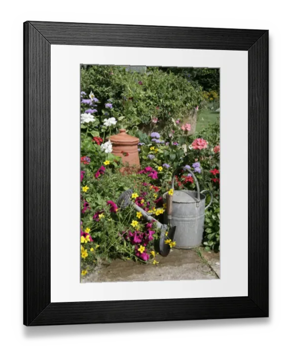 Framed Print : Cottage garden Framed Print : Cottage garden