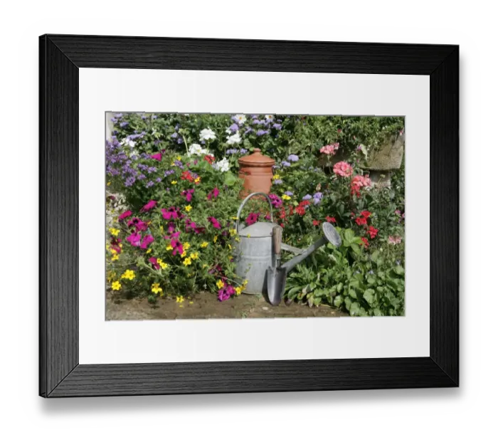 Framed Print : Cottage garden Framed Print : Cottage garden