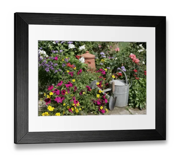 Framed Print : Cottage garden Framed Print : Cottage garden