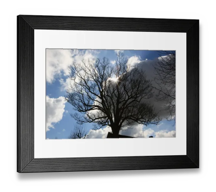 Framed Print : Burford. A tree in the church yard in the cotswold town of Burford with the sunburst