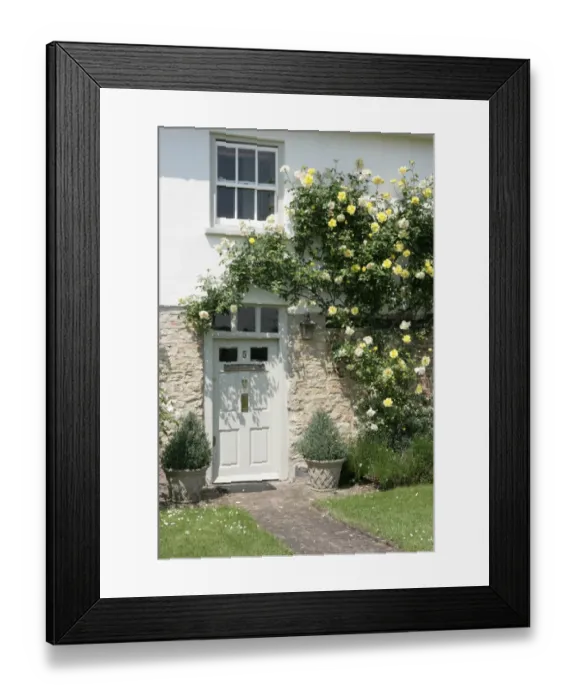 Framed Print : Haddenham. A house with roses around the door in the village of Haddenham Buckinghamshire