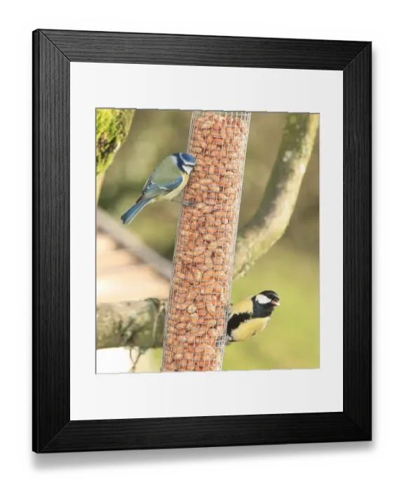 Framed Print : Feeding time Framed Print : Feeding time