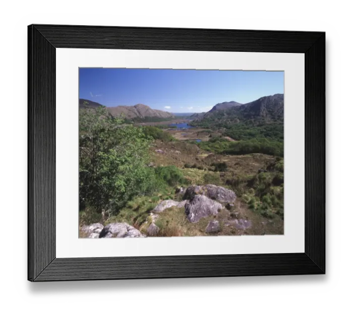 Framed Print : Ladies View Framed Print : Ladies View