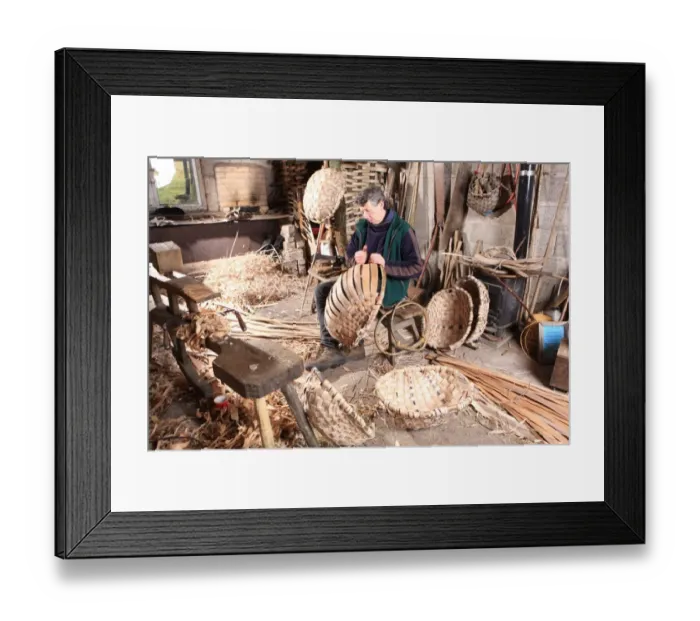 Framed Print : Oak Swill Baskets Framed Print : Oak Swill Baskets