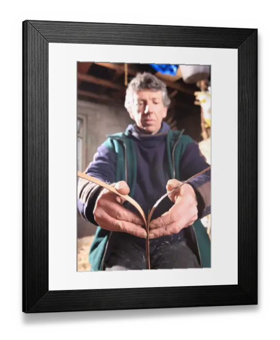 Framed Print : Oak Swill Baskets Framed Print : Oak Swill Baskets