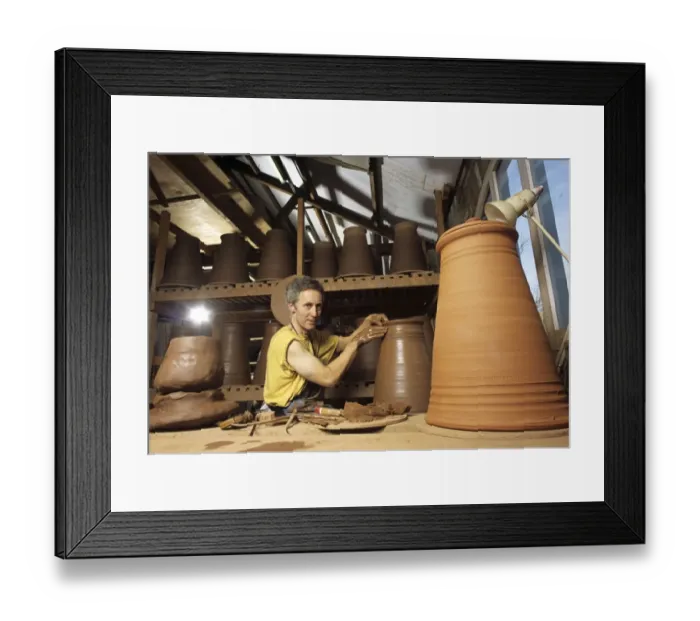 Framed Print : Terracotta Rhubarb Forcers Framed Print : Terracotta Rhubarb Forcers
