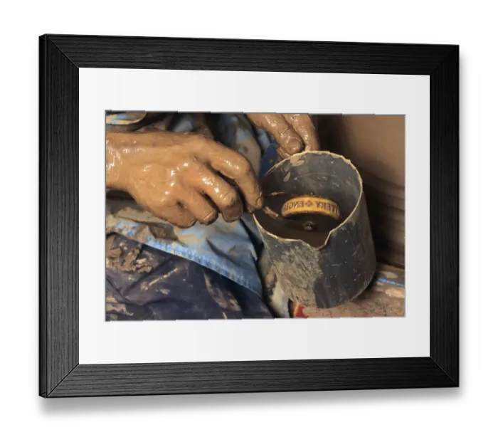 Framed Print : Terracotta Rhubarb Forcers Framed Print : Terracotta Rhubarb Forcers