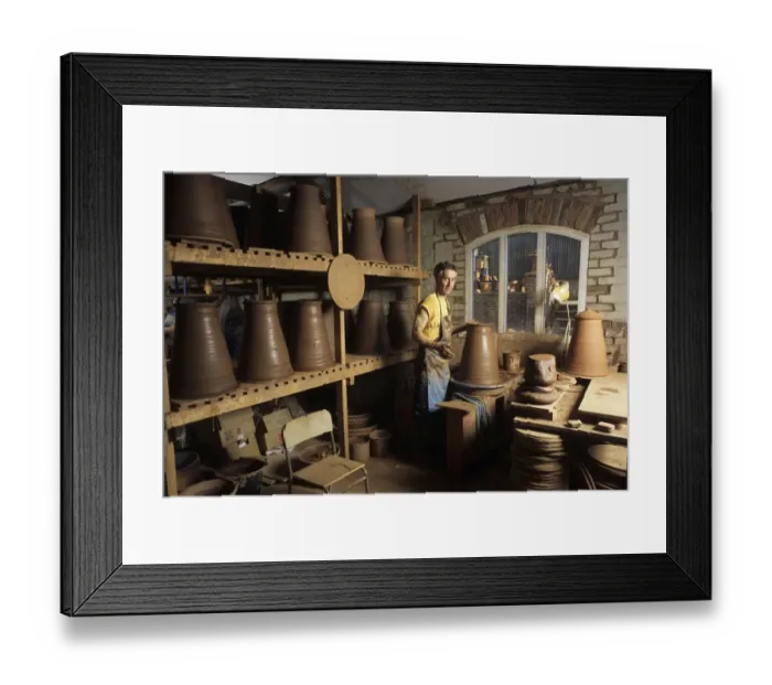 Framed Print : Terracotta Rhubarb Forcers Framed Print : Terracotta Rhubarb Forcers