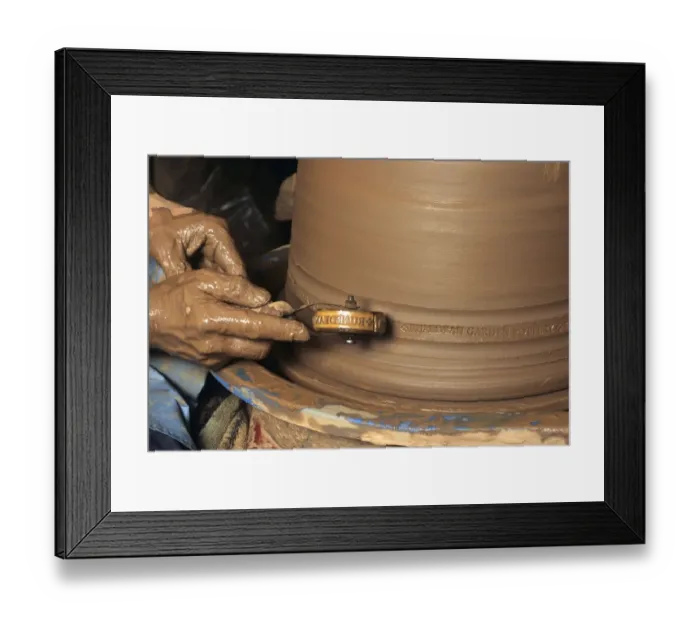 Framed Print : Terracotta Rhubarb Forcers Framed Print : Terracotta Rhubarb Forcers