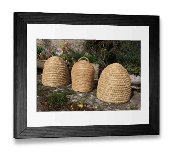 Framed Print : Bee-Skeps which are bee hives made from straw by David Chubb on his farm in the Cotswolds Framed Print : Bee-Skeps which are bee hives made from straw by David Chubb on his farm in the Cotswolds