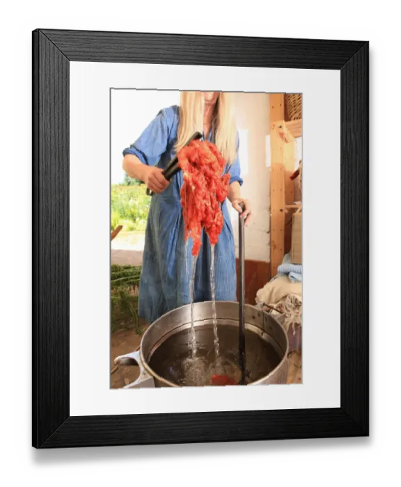 Framed Print : Dyeing and Spinning Framed Print : Dyeing and Spinning