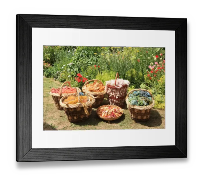 Framed Print : Dyeing and Spinning Framed Print : Dyeing and Spinning