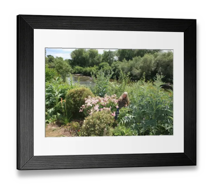 Framed Print : Dyeing and Spinning Framed Print : Dyeing and Spinning