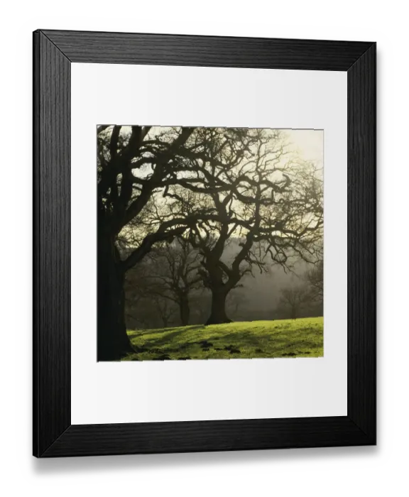 Framed Print : Frostry morning Framed Print : Frostry morning