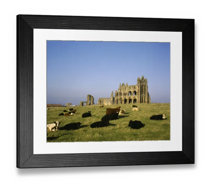 Framed Print : Whitby. Ruins on the Abbey at Whitby in North Yorkshire high above the Framed Print : Whitby. Ruins on the Abbey at Whitby in North Yorkshire high above the