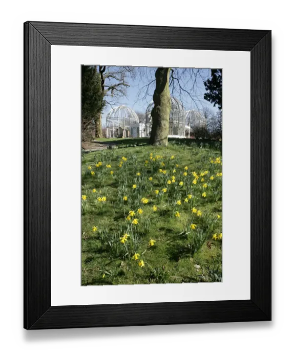 Framed Print : Birmingham Botanical Gardens Framed Print : Birmingham Botanical Gardens
