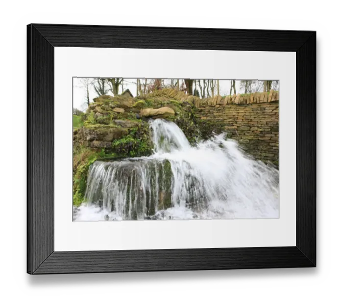 Framed Print : Crocodiles Head Framed Print : Crocodiles Head