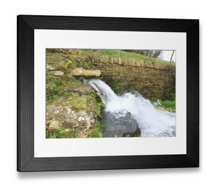 Framed Print : Crocodiles Head Framed Print : Crocodiles Head