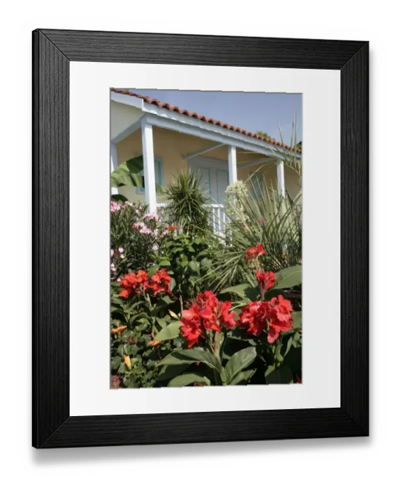 Framed Print : Hampton Court Flower Show
