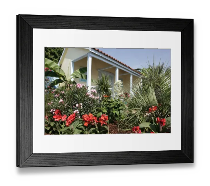 Framed Print : Hampton Court Flower Show Framed Print : Hampton Court Flower Show